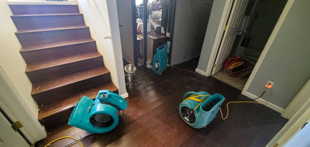 Best Residential water damage restoration  in Stone Ridge, NY