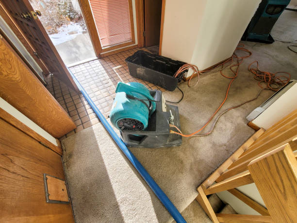 Best Flood damage cleanup  in Stone Ridge, NY