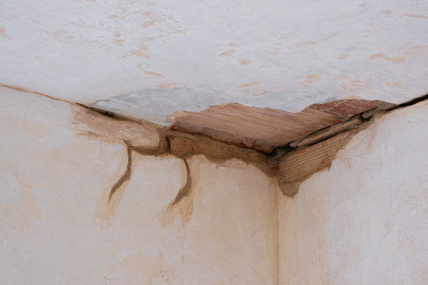 Best Water damage repair service  in Stone Ridge, NY