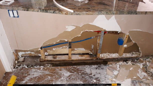 Best Professional water damage repair  in Stone Ridge, NY