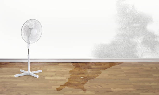 Best Water damage contractors near me  in Stone Ridge, NY