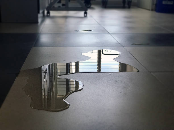 Best 24-hour water damage restoration  in Stone Ridge, NY