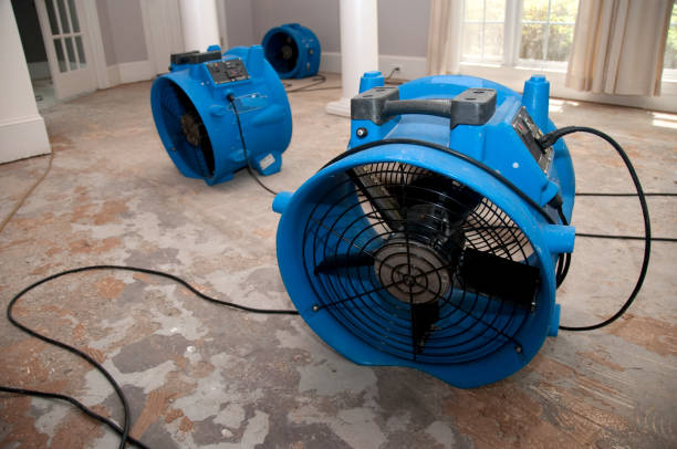 Best Flood restoration services  in Stone Ridge, NY