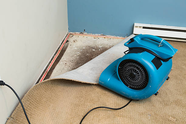 Best Water damage restoration near me  in Stone Ridge, NY